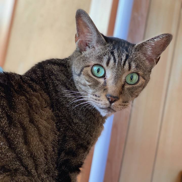 22aec7cc 153b 4e29 bd5b 85fd5e064f0f 1565742548541