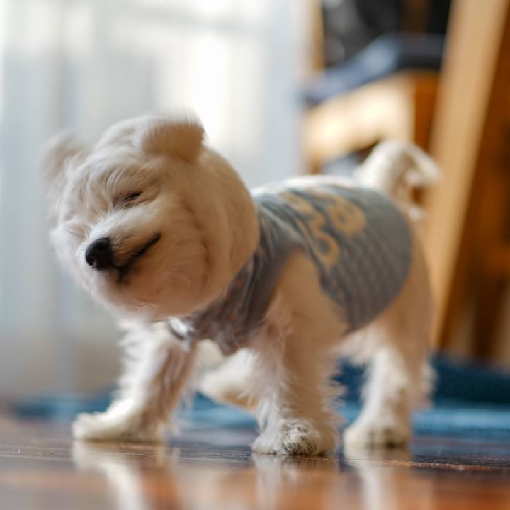 22aed880 fd72 4743 a306 bee203f36c07 1522846115333