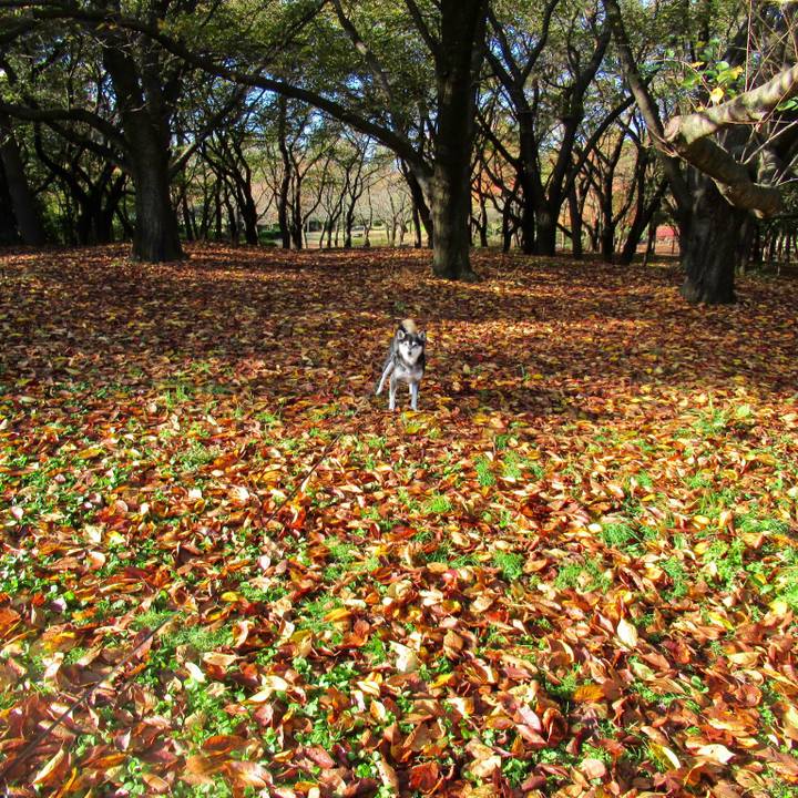 22aee191 764d 4f11 a1a4 00461af0d591 1636330961433