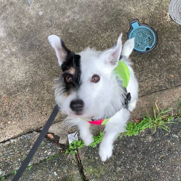 22af0e0b 3950 4b38 8b5e 5747131a91bc 1714437091206