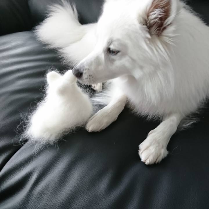 22af1564 ae9a 4270 a7e4 9ad14dd6584d 1526270756293