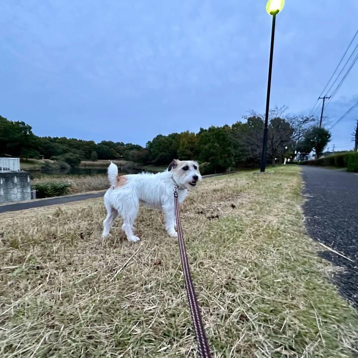 22af48fa ff53 405f 999f d4aa6c88e690 1731854701096