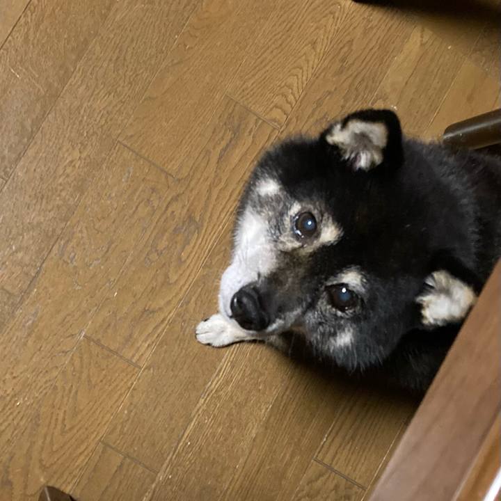 22af64ba c859 4570 a080 cdebda468fb2 1668903204667