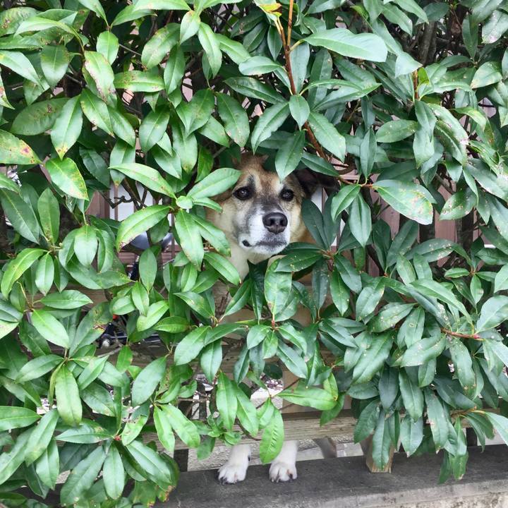 22af74d5 d367 46be a2e9 d479a5aac63a 1568674278385