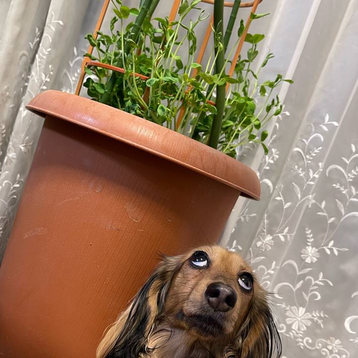 22af908b eced 4f4d a9c5 fa9712020539 1682511532537