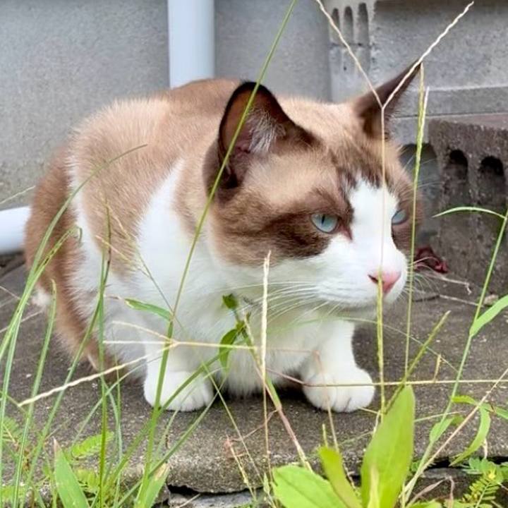 22afdb92 40e7 47ce a5fd 498e02ca6c41 1758871491850