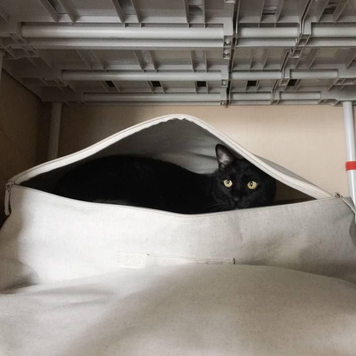 22afe934 f6a0 4d70 88b0 b0fe91a9a80e 1532821545559