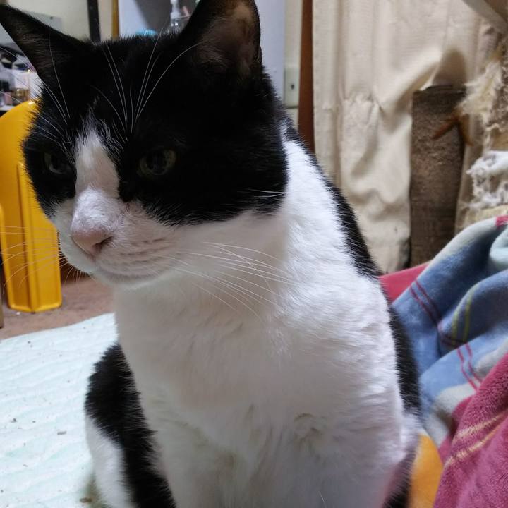 22b041c4 c956 448d adcf 24137aca2c19 1541890059700