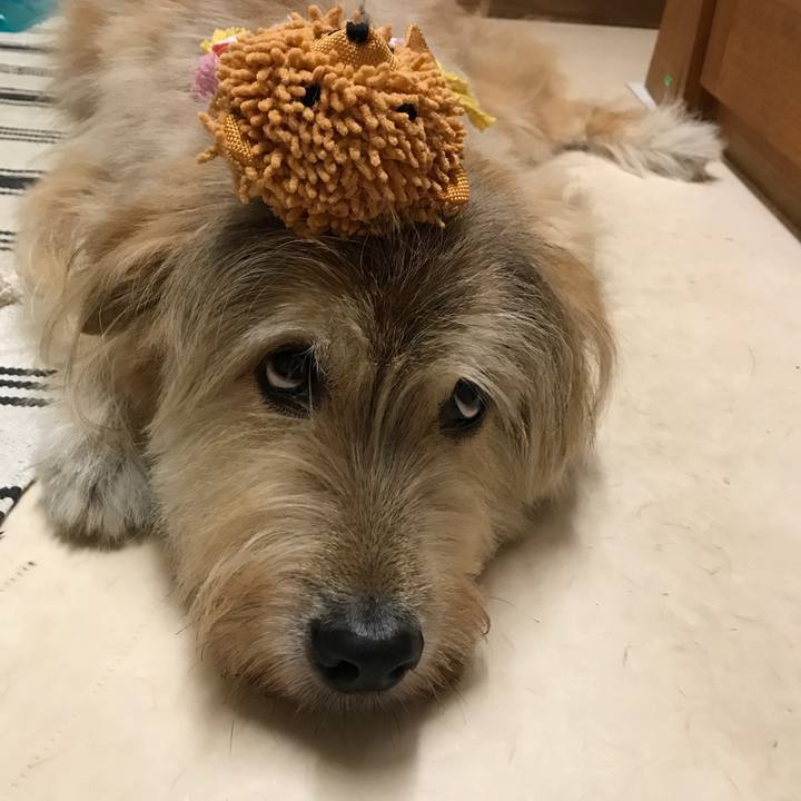 22b064e5 f982 4ce6 80a5 1916ac8b7c63 1566219608780