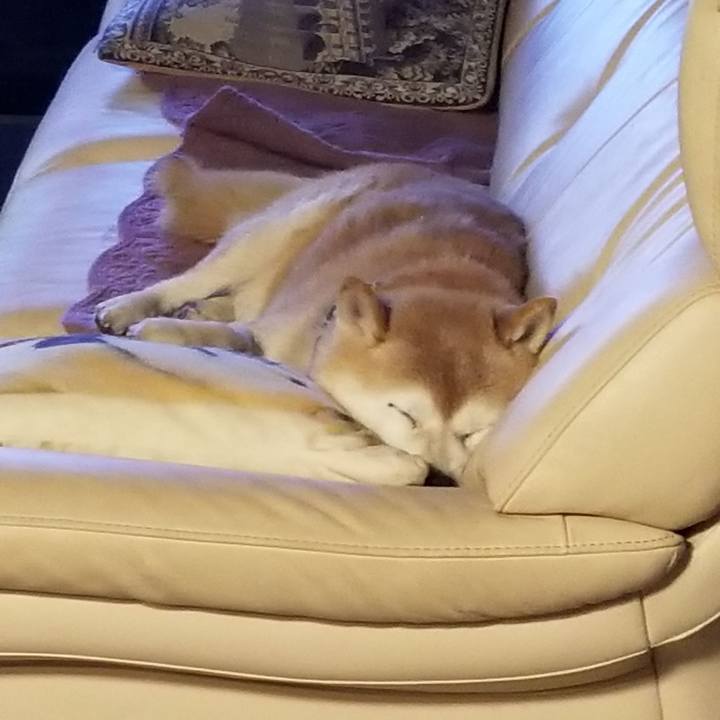 22b0685a d291 466b b210 2a52ae3532b0 1706524691242