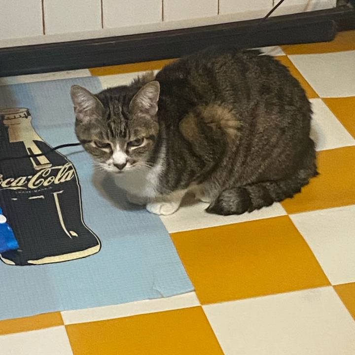 22b08b61 b2f2 4ca2 a091 e8e9543aed6b 1728656561528