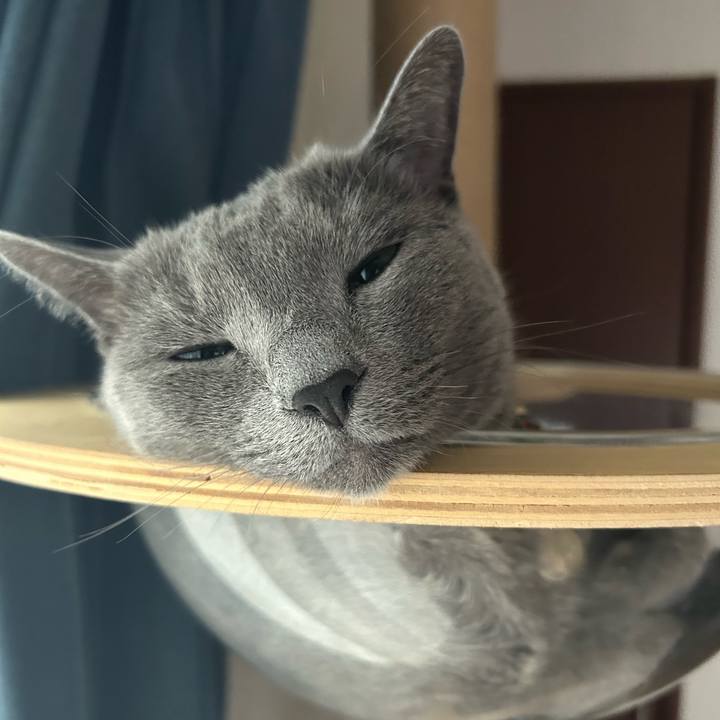 22b0dd85 72b1 4517 aa41 1ae863fd2b5e 1699356993608