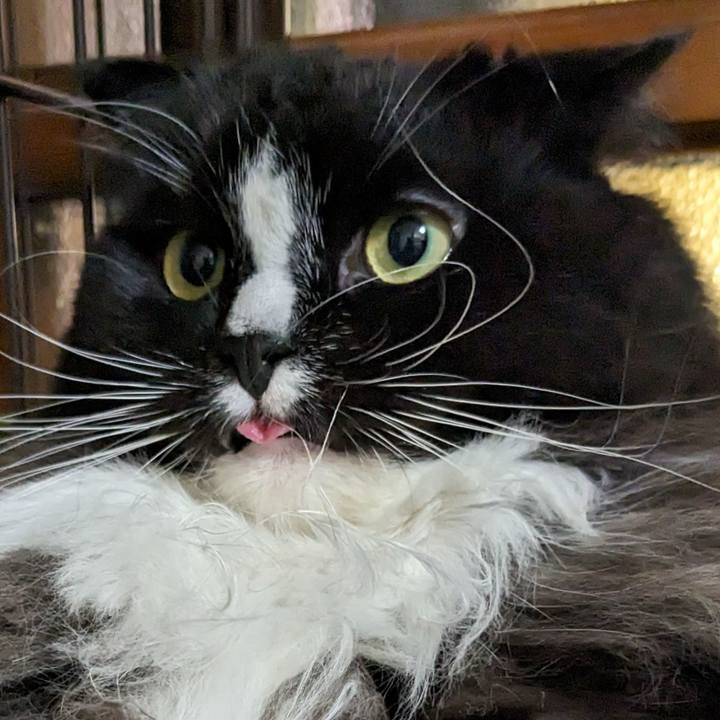 22b0e96e c12f 4c51 9f24 0d32766ac97d 1700265276885