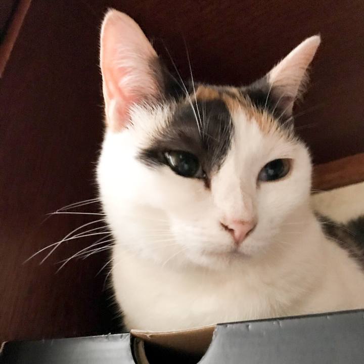 22b10081 c226 48a2 95fa 059345d62615 1531616342906