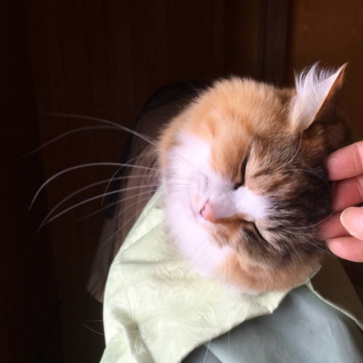 22b11e90 c314 41f9 b4dd f2b54c5948c9 1554005915341