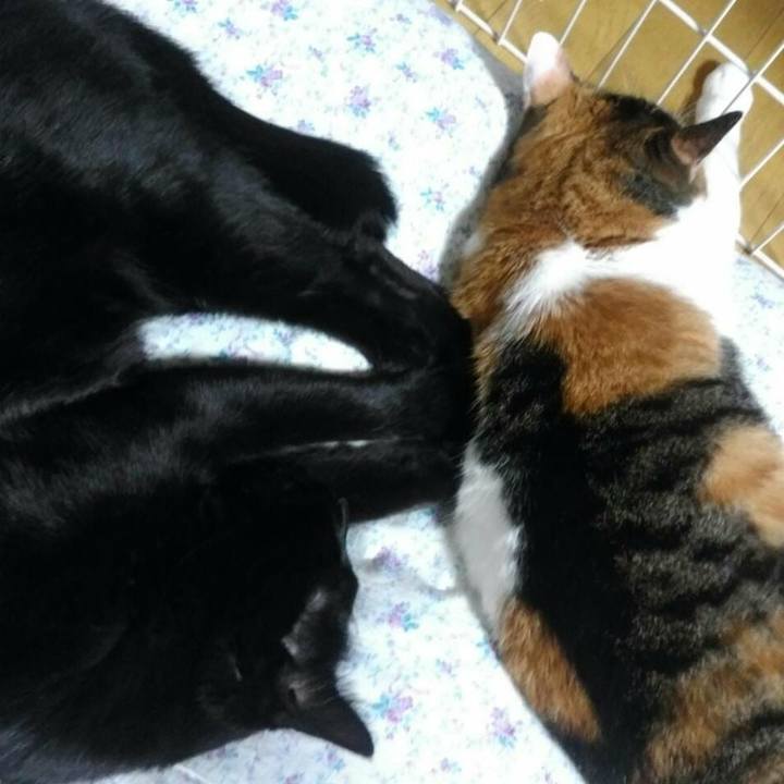 22b12b78 75a9 4bd2 a49b c4e95c1c7c8a 1508754960048