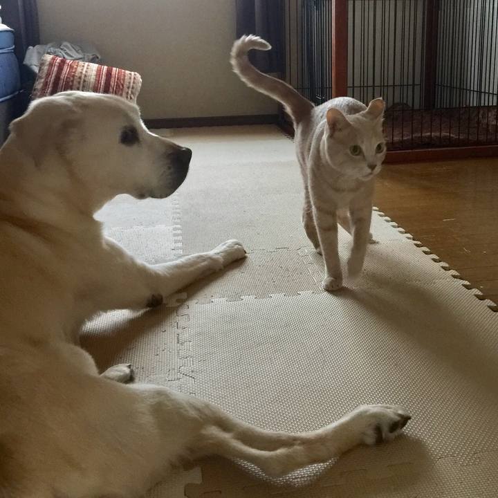 22b13c59 5e49 4da6 b5c4 e0c4a3ff1bf4 1552398261375