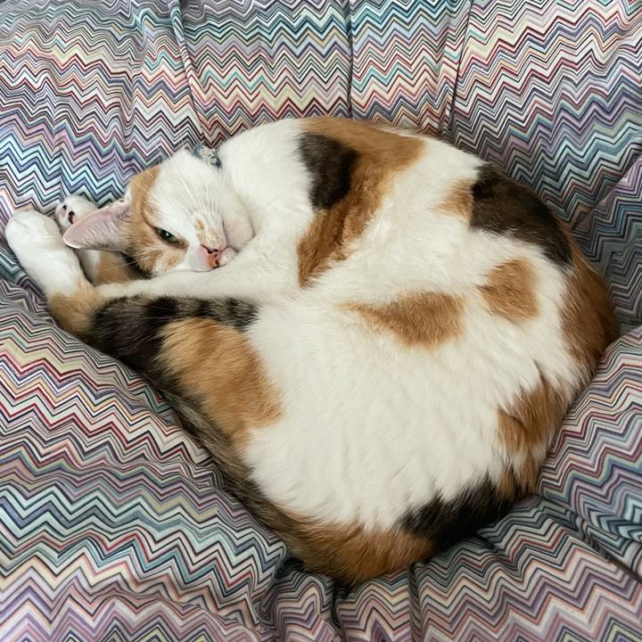 22b1658d 818f 4b8e 94f4 9aa521b4a612 1720754040617