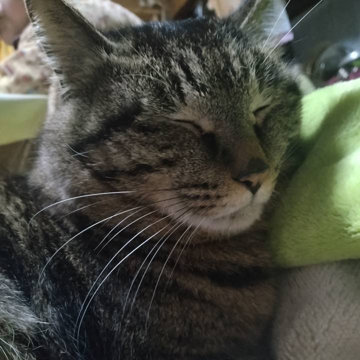 22b16dbb 7058 41b8 86da bdeca833c14a 1677759566698