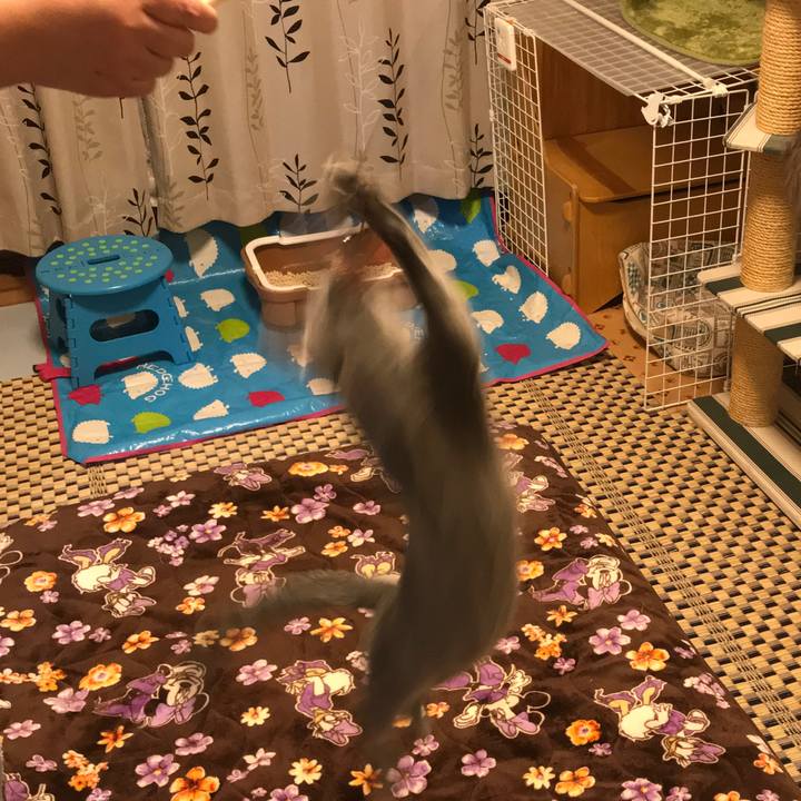 22b1e2b0 b654 4b23 948d 5d085000c042 1511366150678