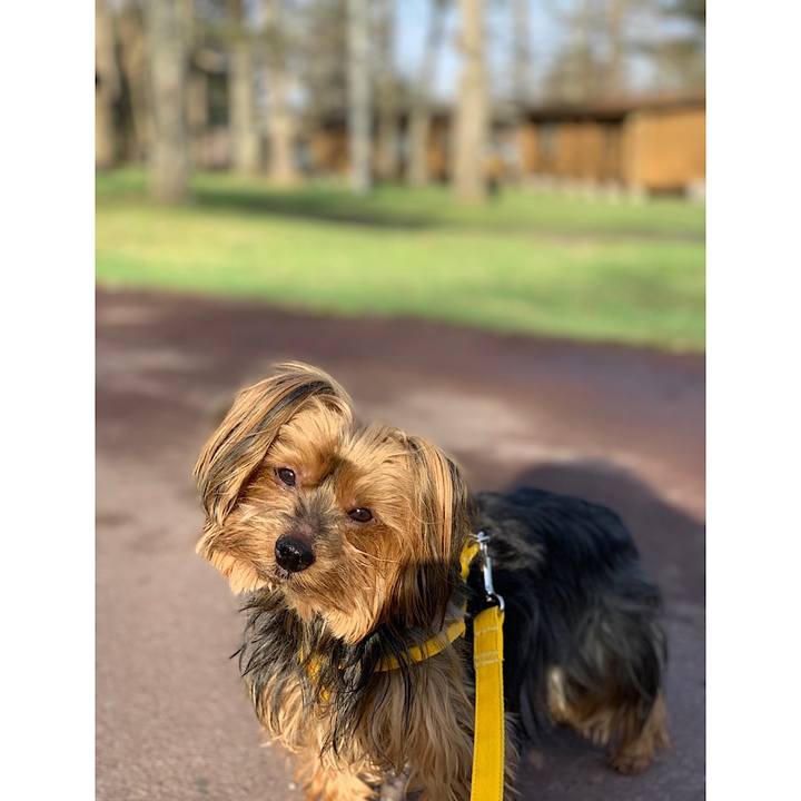 22b201c9 4f85 40e7 aa05 46730f2c7cc4 1556612476930