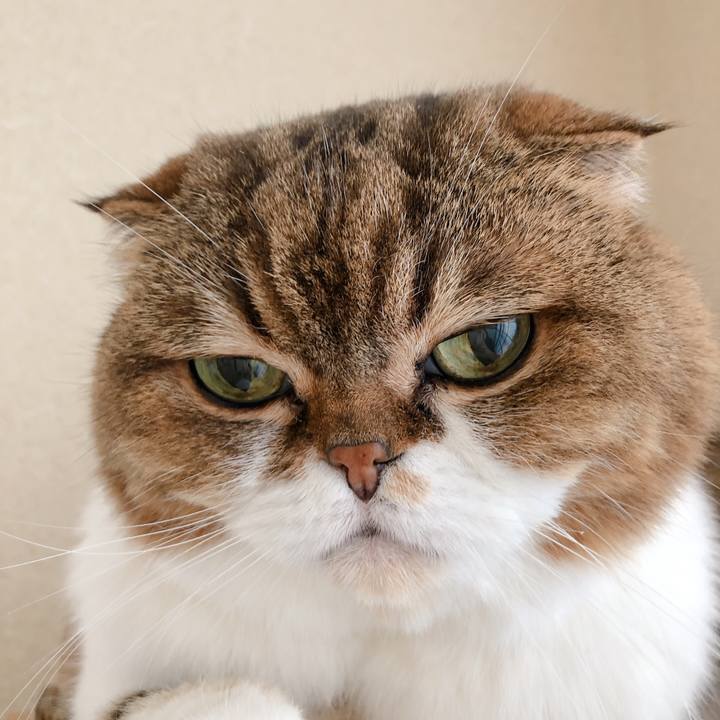 22b222a2 f853 476c b16f e6047282e63e 1597987644027