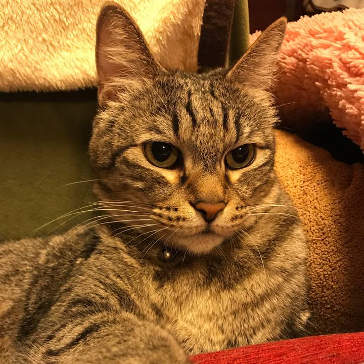 22b29727 1b34 4e4d 8245 d08283b8a81a 1565196611626