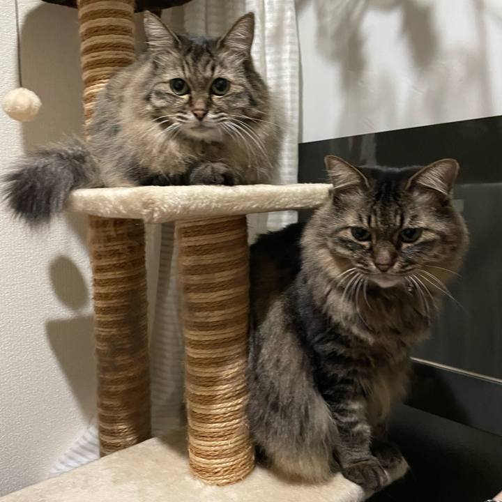 22b2a241 b560 405b b62e 408899c15aab 1762606917897