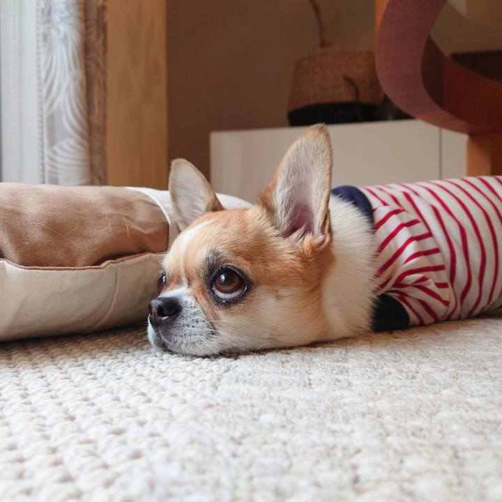 22b2bd2a 06b4 44dd 9c22 8a73cb968934 1681545666154