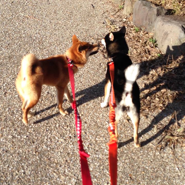 22b2d7d0 3304 484e a8cd 018683809cdb 1595908211131