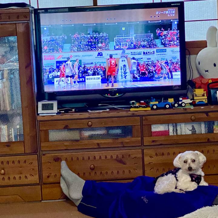 22b2f646 4f82 4676 bf46 a1f360147cd1 1740893088392