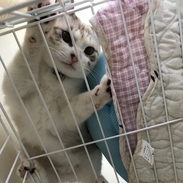 22b34422 1bb8 4bb7 9307 1c80f0a5809b 1508641737584