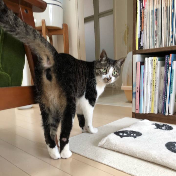 22b34aac b9b6 45b2 b53b 857815aef707 1582330074823