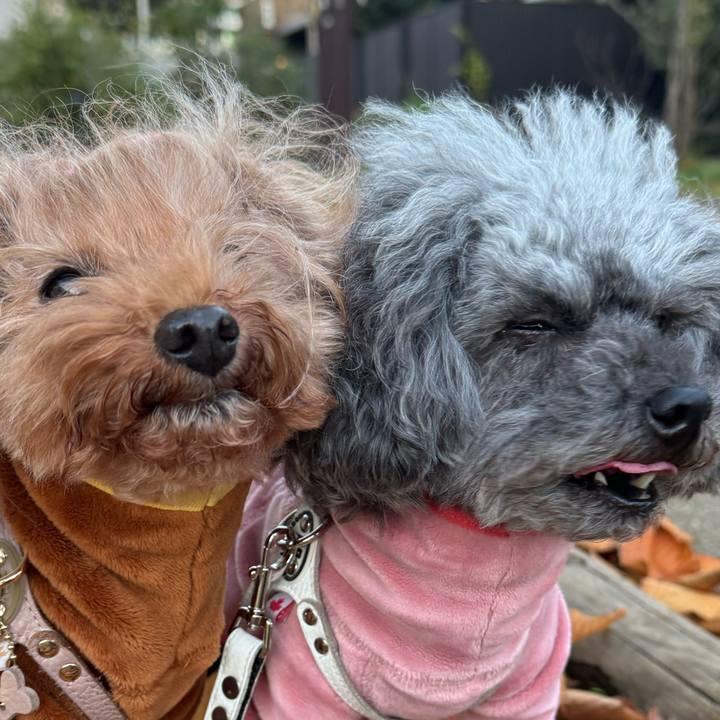 22b35aaa 09ac 4ac8 87bd 9875ee3a7302 1735342438068