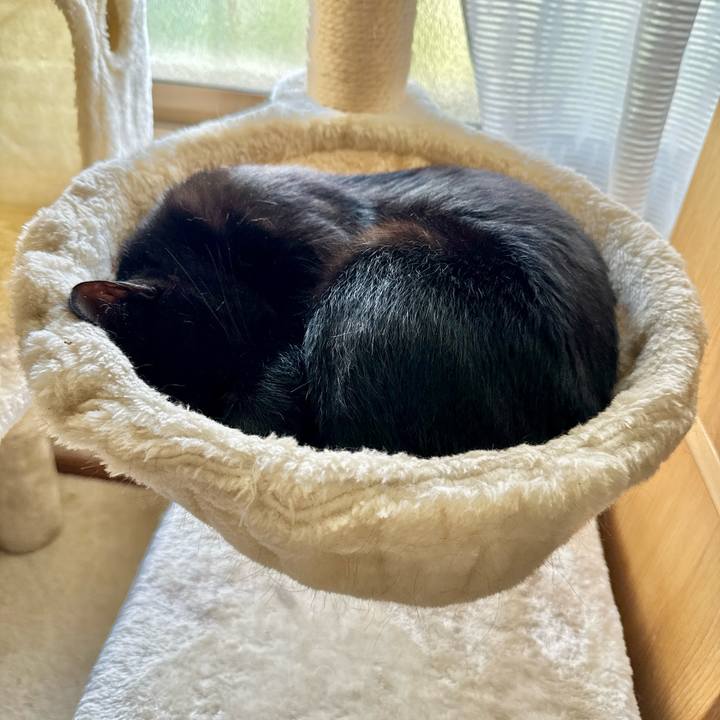 22b36d7d 3bff 4c3b a68f 1f5743457cd5 1747700348012