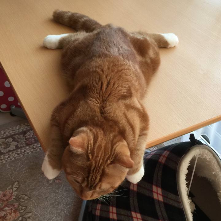 22b39501 1f85 4d75 a304 26761d79f52b 1512888839789