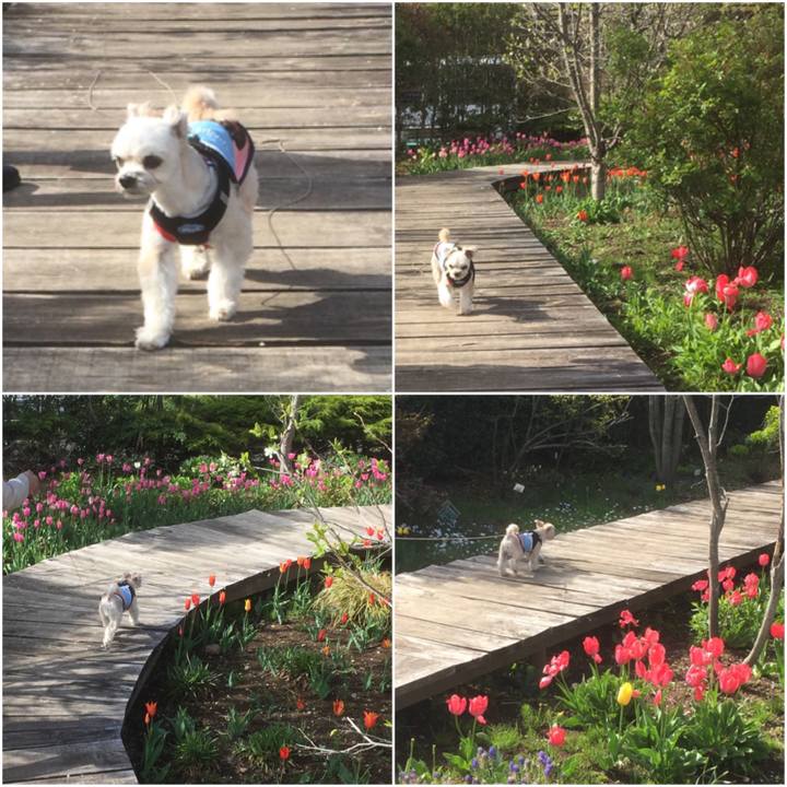 22b3dc20 58db 4038 9bc3 d80f8890bc14 1556603154229