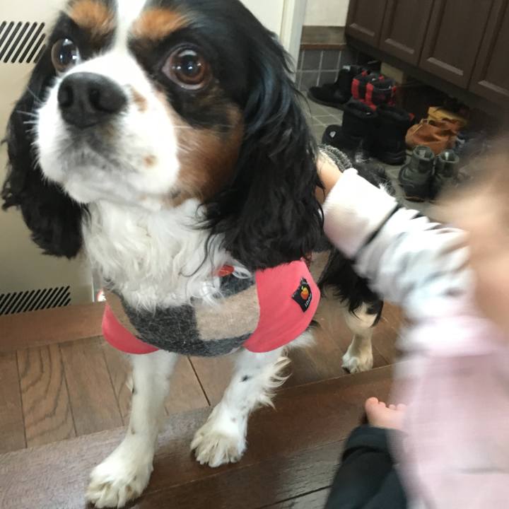 22b3e56a 2dc6 4eff 864c 3ce15daf9b75 1516670766072