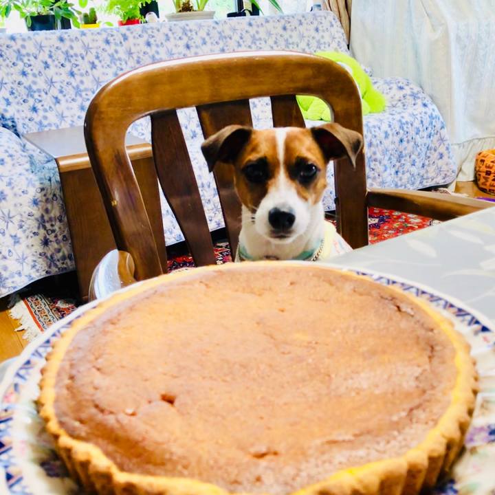 22b4251b 6bc2 4f05 8c90 d3b0cccd0ba8 1567121410631