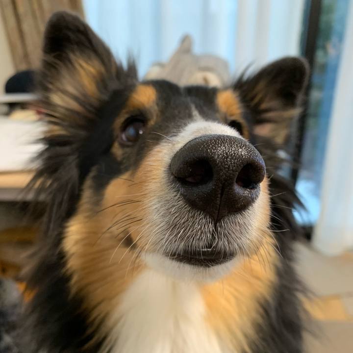 22b42dd7 5ce5 4277 afc2 e9dd47f7d4c4 1550181266814