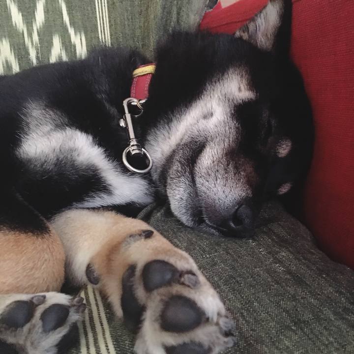 22b440ca 156a 41fc 94cb be56db928c0a 1520298450717