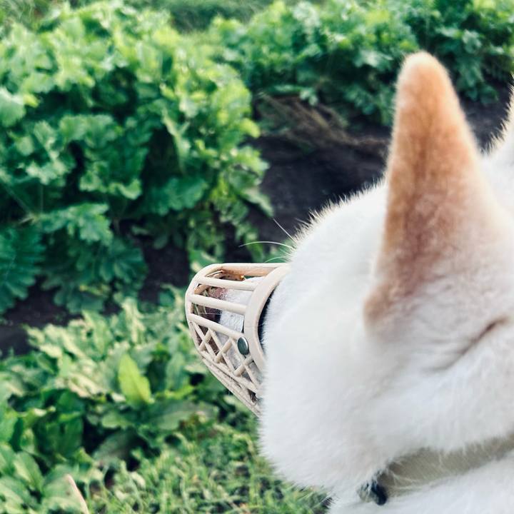 22b46b18 ef22 4737 88d9 9ca142db0a95 1697060506747