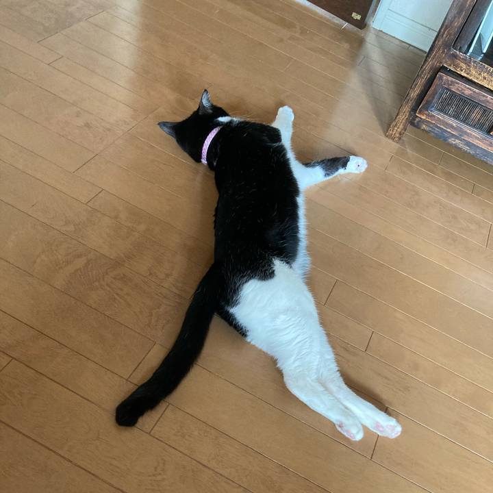 22b4b48a a877 4d44 a464 17556c0dd452 1624166844209