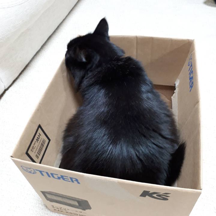 22b4c3be b2cc 4628 a2f4 742a78a03aea 1517258048259