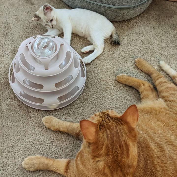 22b5237f a0e7 43ec 9786 7ef9d2448aec 1689893334233