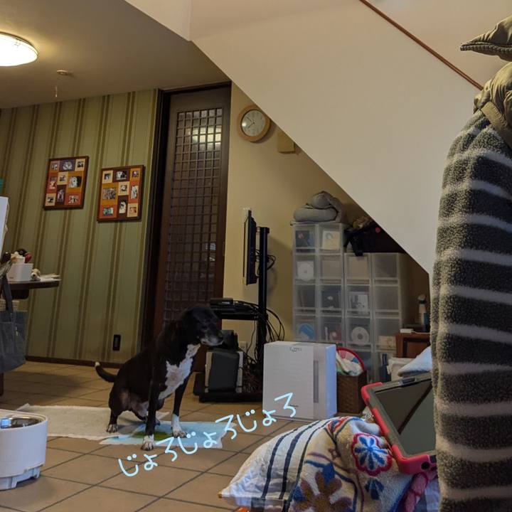 22b5263d d60e 491c aed7 ffb7b6ad8250 1735171983544