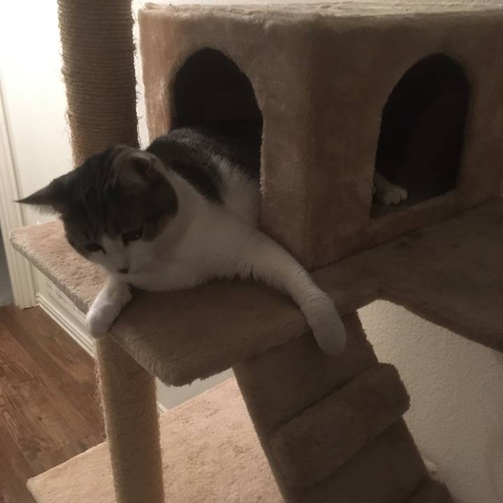 22b54f85 094f 4232 b87f 6e3921be91f8 1660779444024