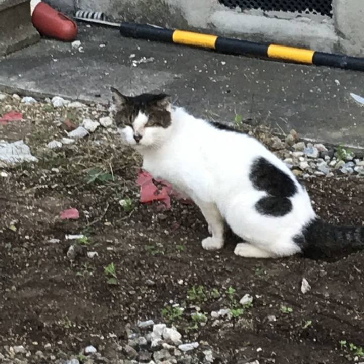 22b551d9 f110 49fa 833d 66cb6a902283 1545016605151