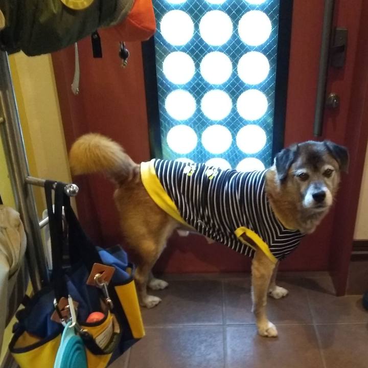 22b57c4a d816 4e3c 9eb2 c6305e2eead7 1571789837087