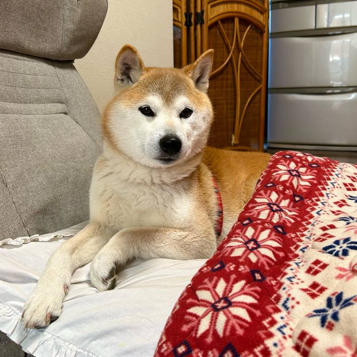 22b586d3 c0fc 4745 8357 ded3f00388cc 1710673447326